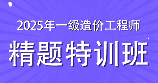 2025年一级造价师【交通案例】精题特训班-VIP